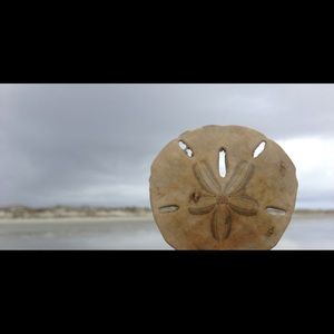 Meet your Posher, Keiko